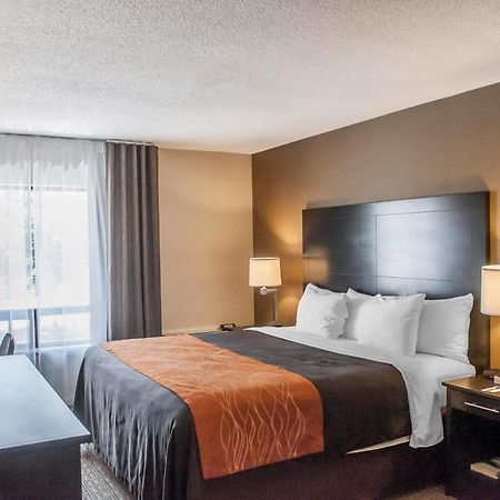 Comfort Inn Brampton Exteriör bild