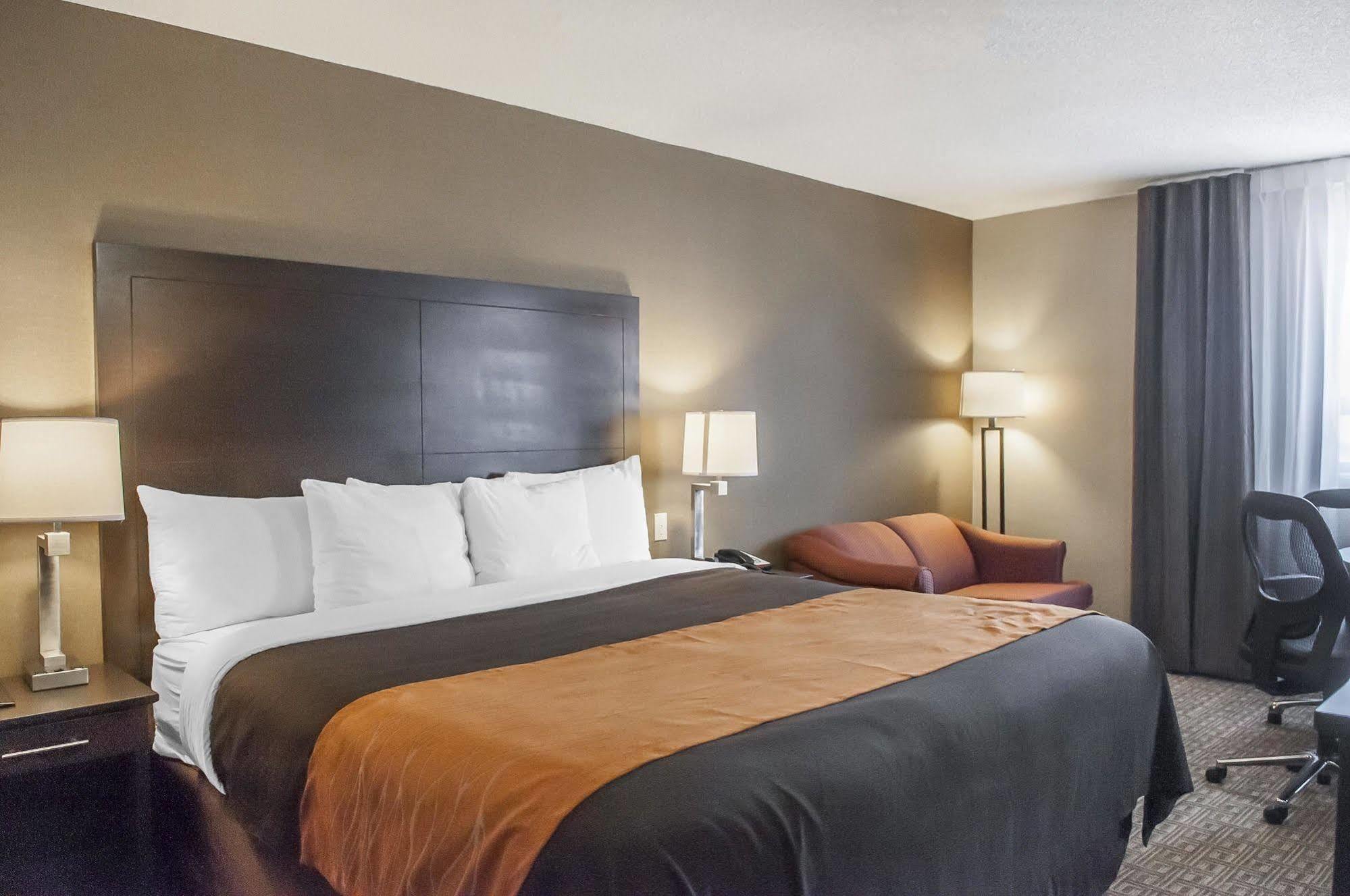 Comfort Inn Brampton Exteriör bild