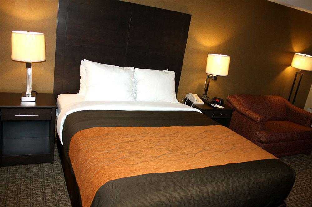 Comfort Inn Brampton Exteriör bild