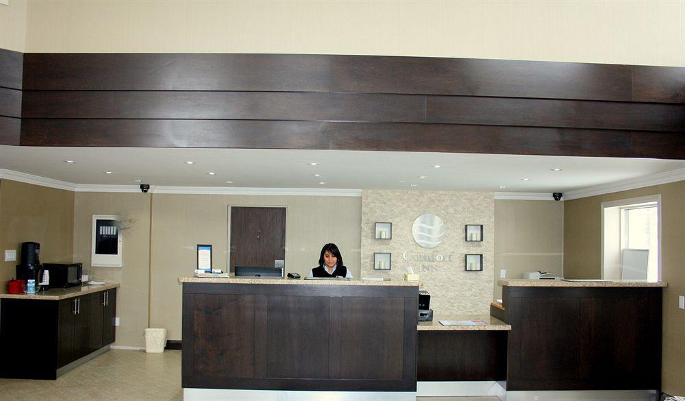 Comfort Inn Brampton Exteriör bild